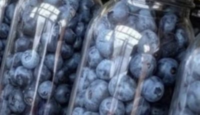 How to Preserve Fresh Blueberries at Home for Months